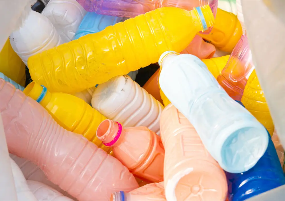 Animated Card Hover Effect Html & CSS